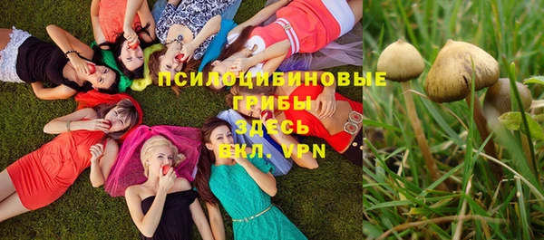 марки lsd Абаза