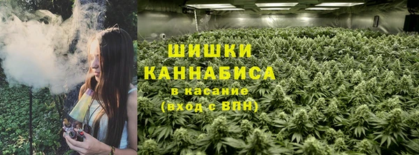 ГАЛЛЮЦИНОГЕННЫЕ ГРИБЫ Абдулино