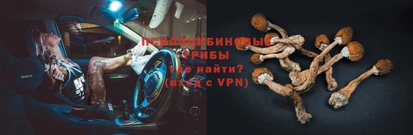 ГАЛЛЮЦИНОГЕННЫЕ ГРИБЫ Остров