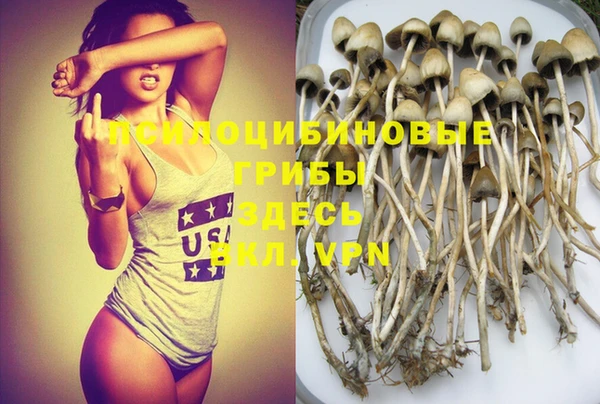 прущая мука Осинники