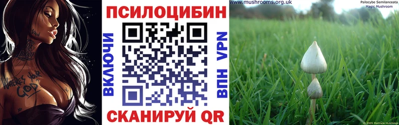 Псилоцибиновые грибы мицелий  Спас-Клепики 